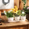 Set of 3 Small Cream Round Ceramic Planters for Indoor Plants