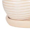 Set of 3 Small Cream Round Ceramic Planters for Indoor Plants