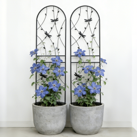 2 Pack Metal Garden Trellis 71" x 19.7" Rustproof Trellis for Climbing Plants Outdoor Flower Support Dragonfly Deco Black