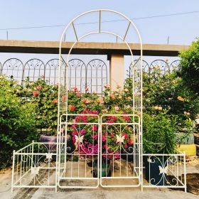 Metal Garden Arch with Gate 79.5'' Wide x 86.6'' High Climbing Plants Support Rose Arch Outdoor Cream White