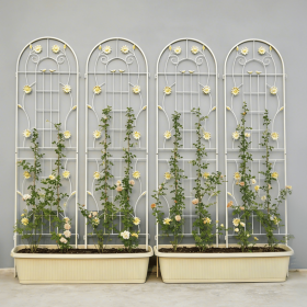 4 Pack Metal Garden Trellis 71" x 19.7" Rustproof Trellis for Climbing Plants Outdoor Flower Support Cream White (Color: as Pic)